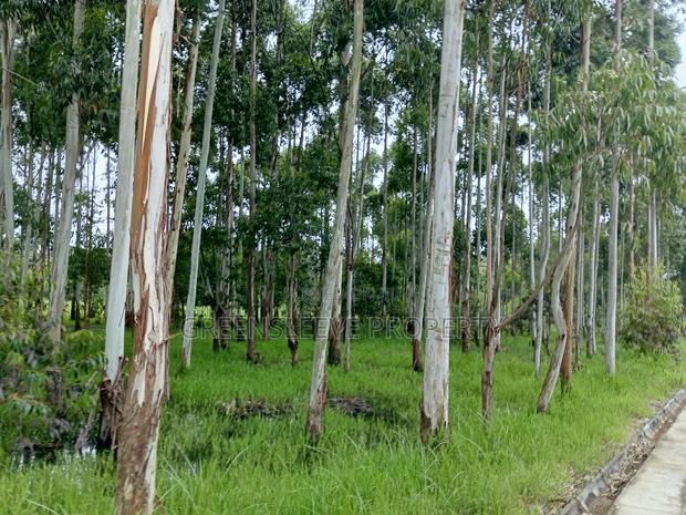 Commercial Land for Sale - thumbnail 6