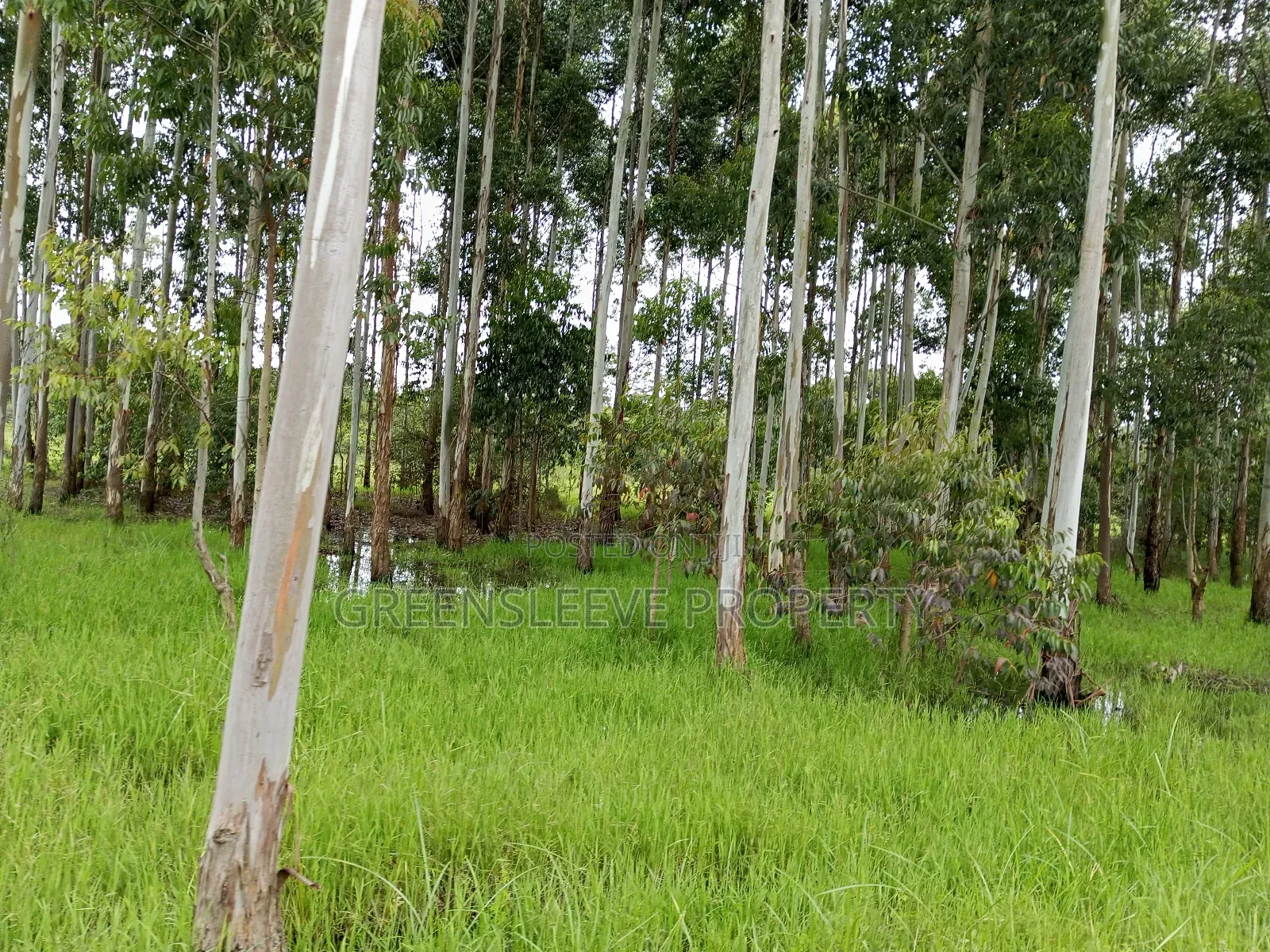 Commercial Land for Sale