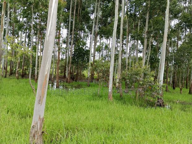 Commercial Land for Sale - thumbnail 7