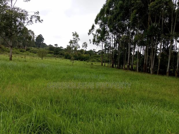 Commercial Land for Sale - thumbnail 9