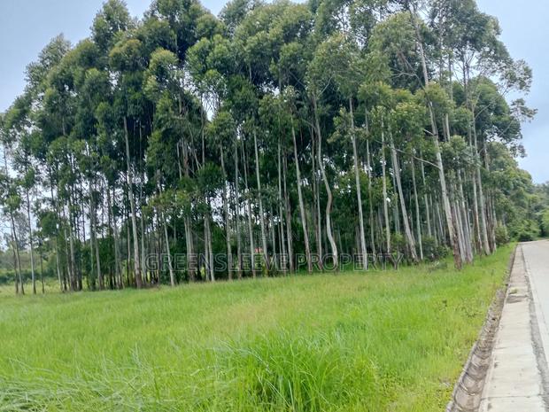 Commercial Land for Sale - thumbnail 10