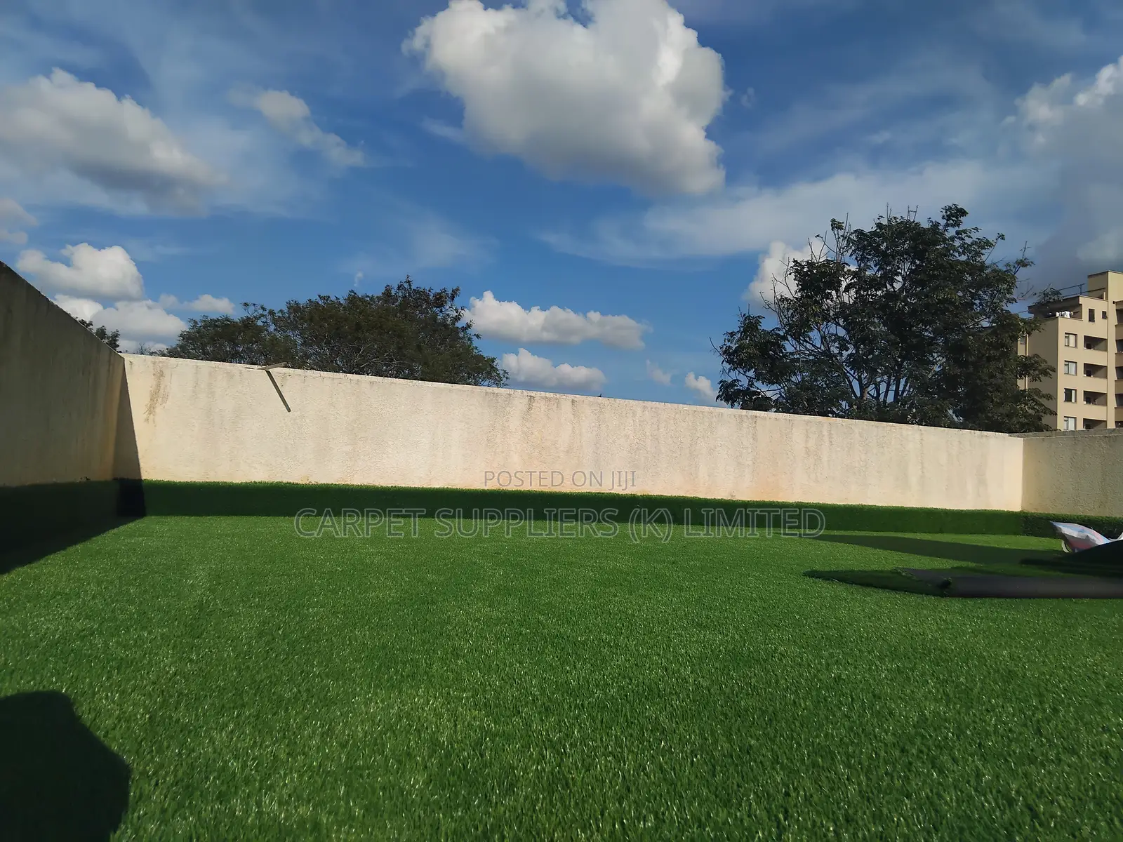 Grass Carpet (Backyard)