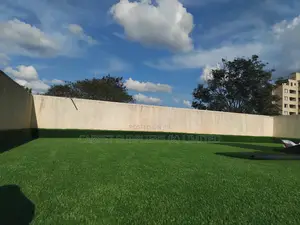 Grass Carpet (Backyard)