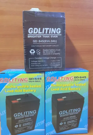 Quality 6v Rechargable Battery