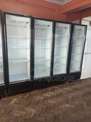 Affordable Chiller 500l