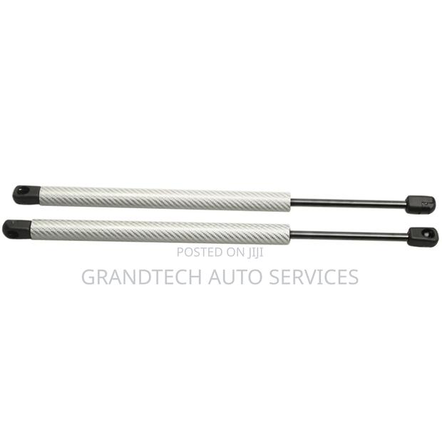 Auris 2007-2012 Boot Shocks - main view