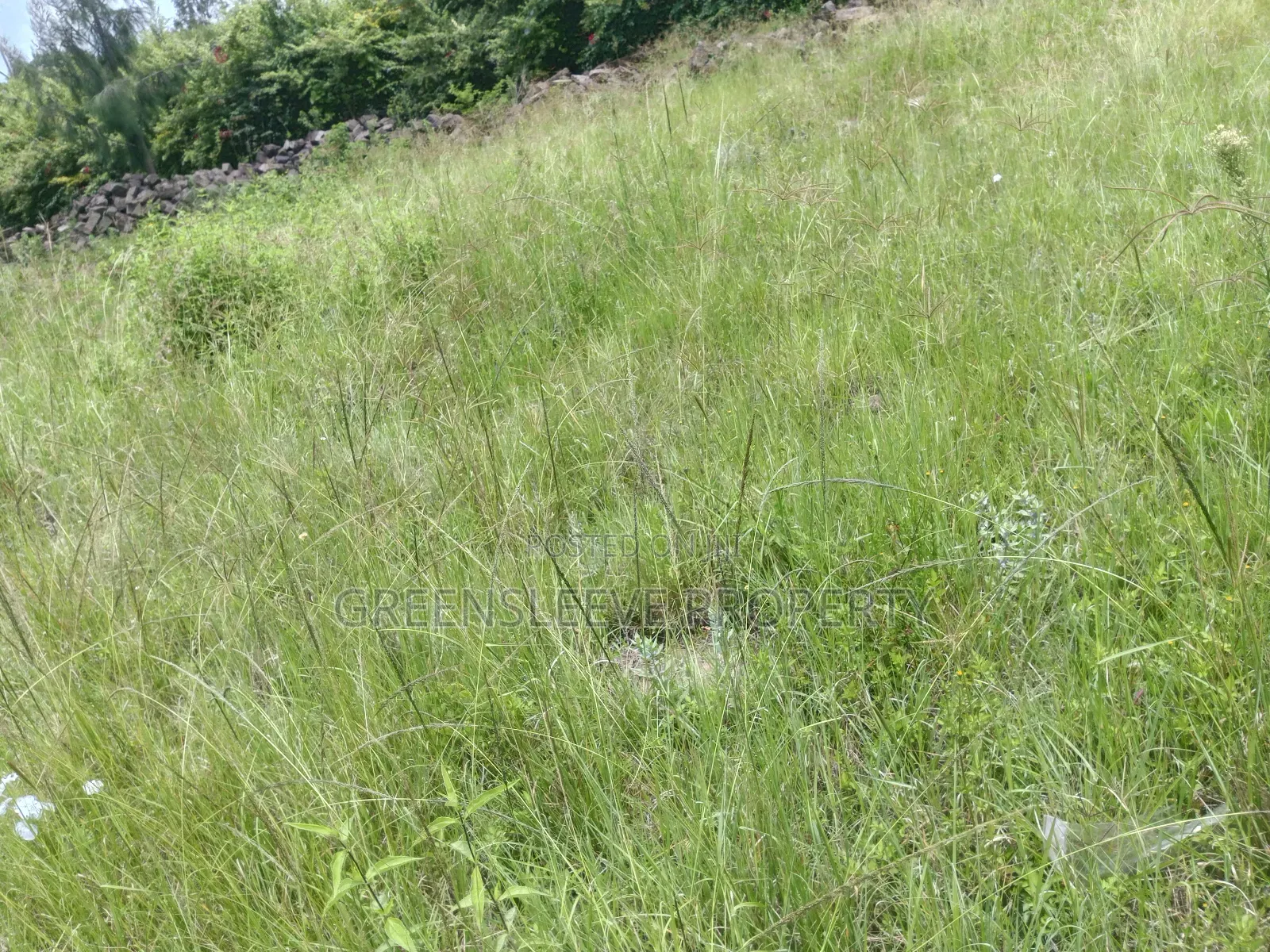 1 Acre for Sale