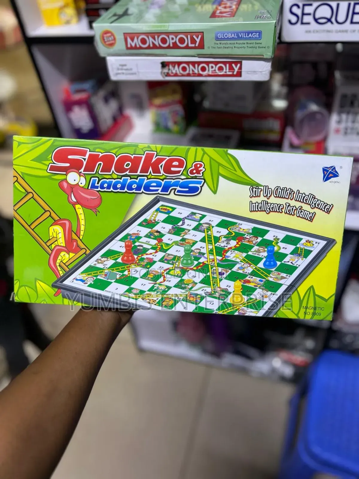 Big Snake Ladders Board Games