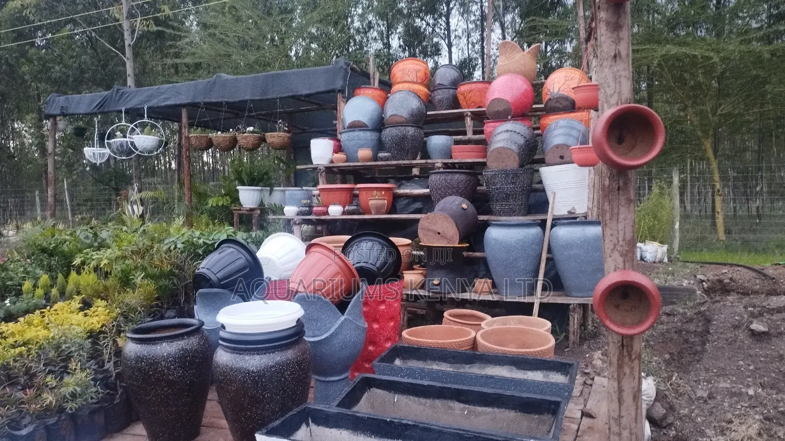 A Variety of Clay Flower Pots