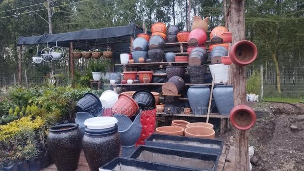A Variety of Clay Flower Pots