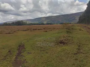 62.179 Acres of Land for Lease in Kipipiri, Nyandarua
