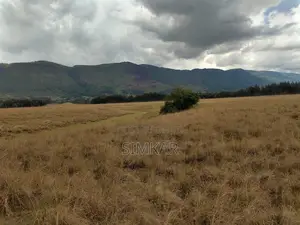 62.179 Acres of Land for Lease in Kipipiri, Nyandarua