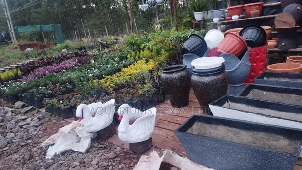 Flowers,Trees,Clay Pots