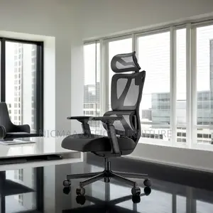 Ergonomic Office Seat