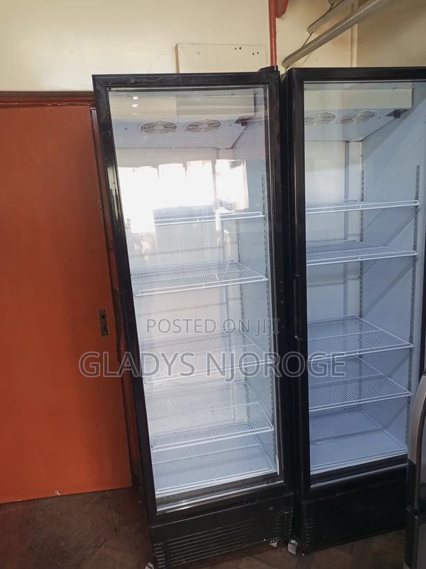 Economical /Affordable Chiller 600l