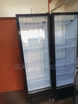 Economical /Affordable Chiller 600l