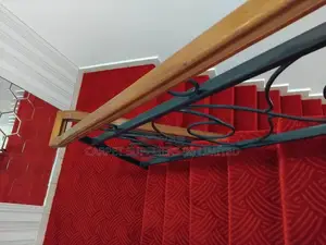 Red Colored Carpet