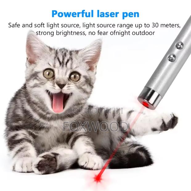 Laser With Batteries for Cats. - thumbnail 3
