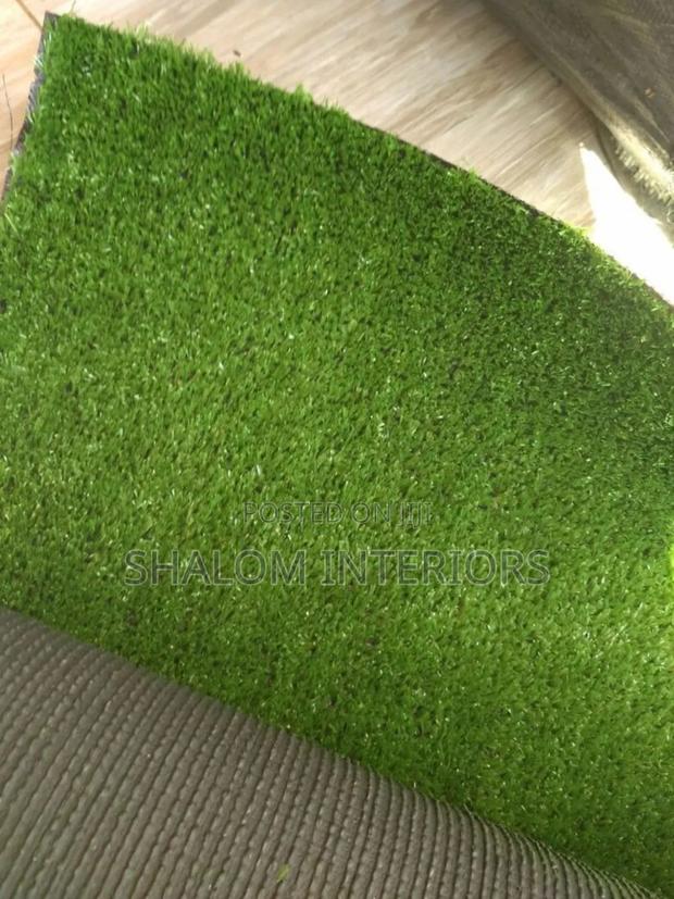 Modern Backyard Turf