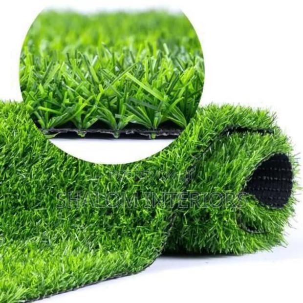 Eye-Catching Turfgrass - main view