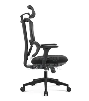 Flexon Flex on Office Chair