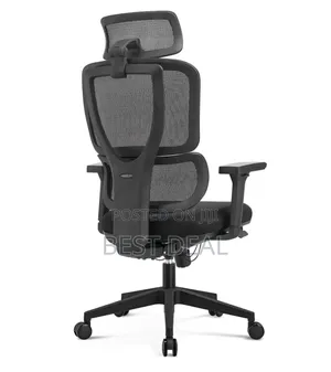 Flexon Flex on Office Chair