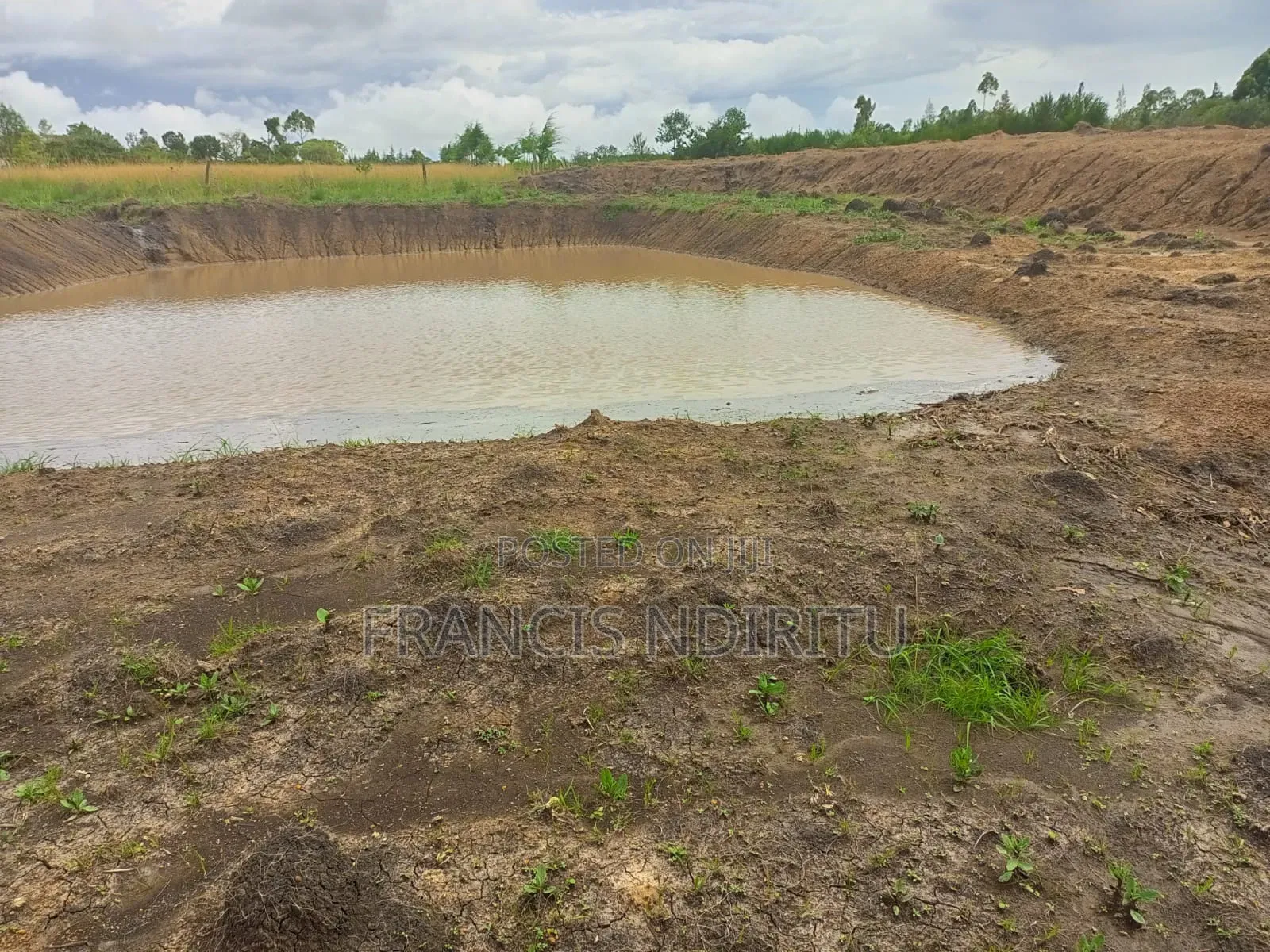 Quick Selling Land