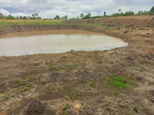 Quick Selling Land
