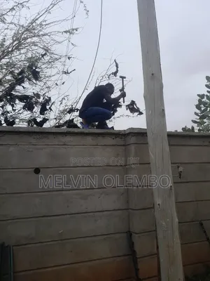 Security Electric Fence and CCTV Installation