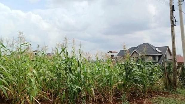 Controlled 1/4 Plots for Sale in Thika-Gatanga Rd.Karangaita - thumbnail 2