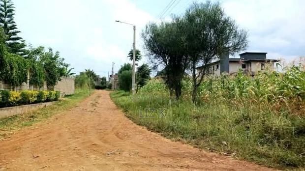 Controlled 1/4 Plots for Sale in Thika-Gatanga Rd.Karangaita - thumbnail 3