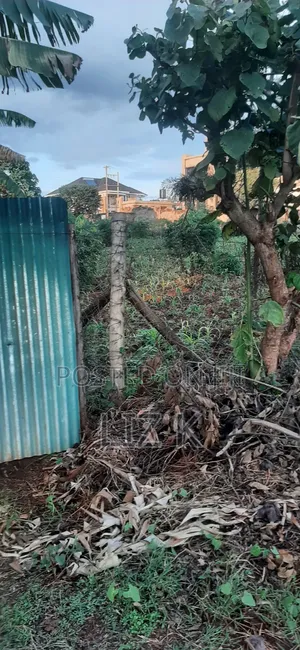 Controlled 1/4 Plots for Sale in Thika-Gatanga Rd.Karangaita