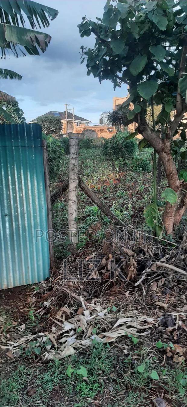 Controlled 1/4 Plots for Sale in Thika-Gatanga Rd.Karangaita - thumbnail 4