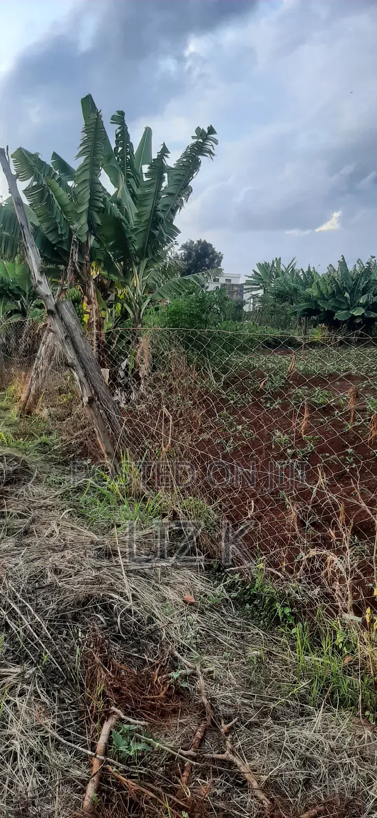Controlled 1/4 Plots for Sale in Thika-Gatanga Rd.Karangaita