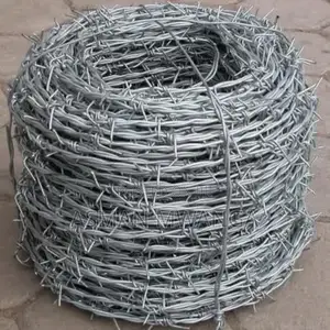 Gi Berbed Wire With Double Strands