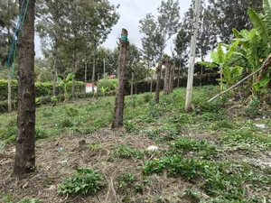 Residential Quarter Acre Plot in Ongata Rongai, Rimpa Area