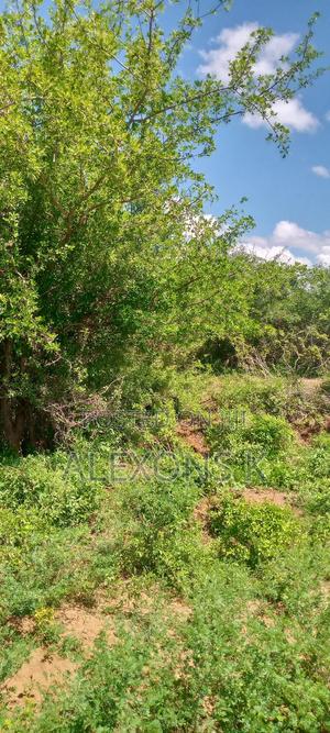 Title Is Ready - thumbnail 2