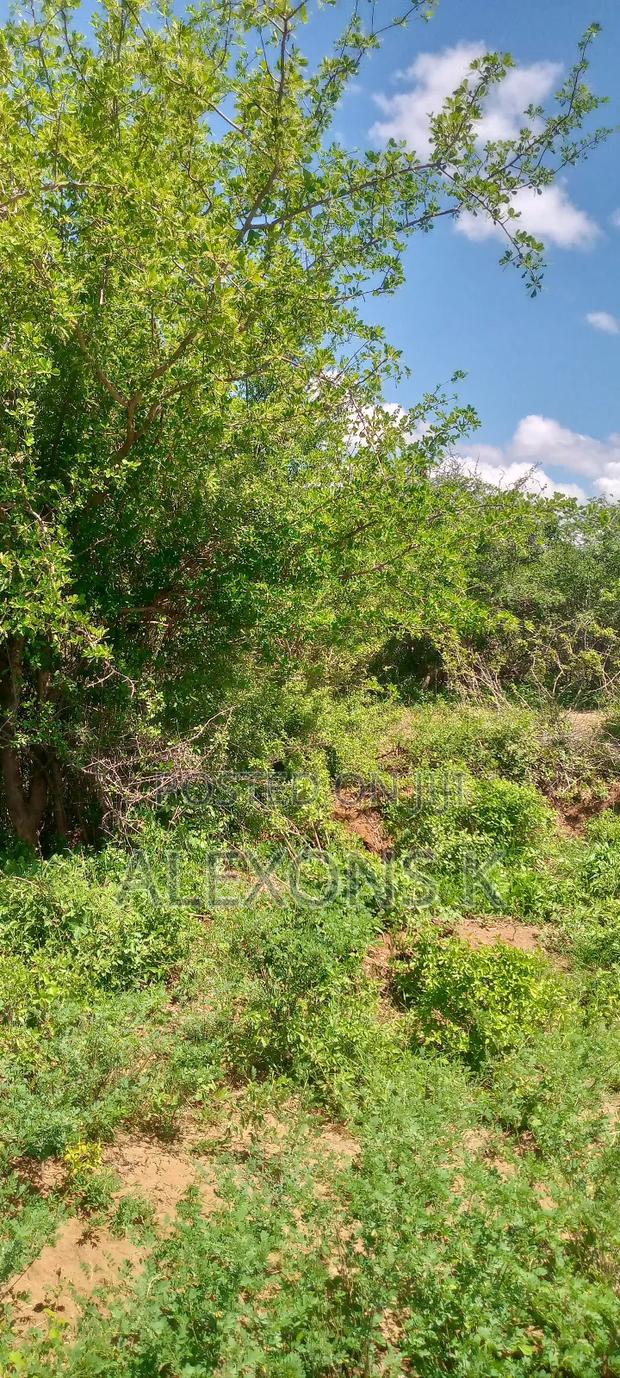 Title Is Ready - main view