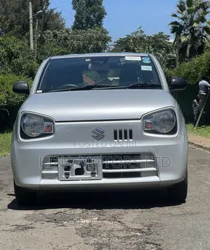 Suzuki Alto 2019 Silver