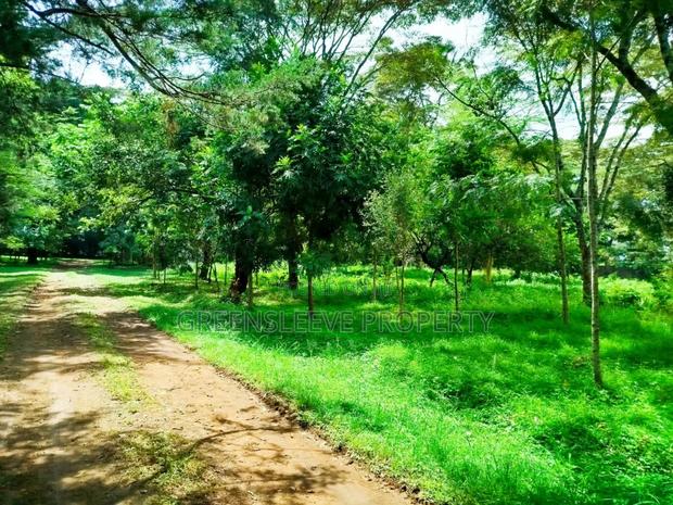 Land for Sale - main view