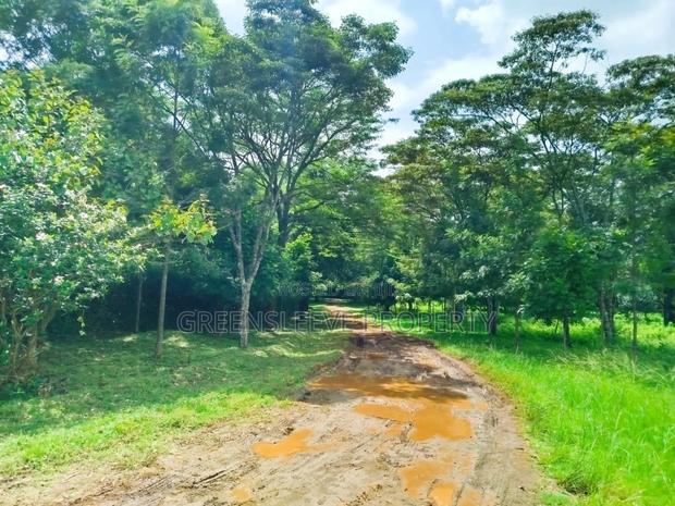 Land for Sale - thumbnail 4