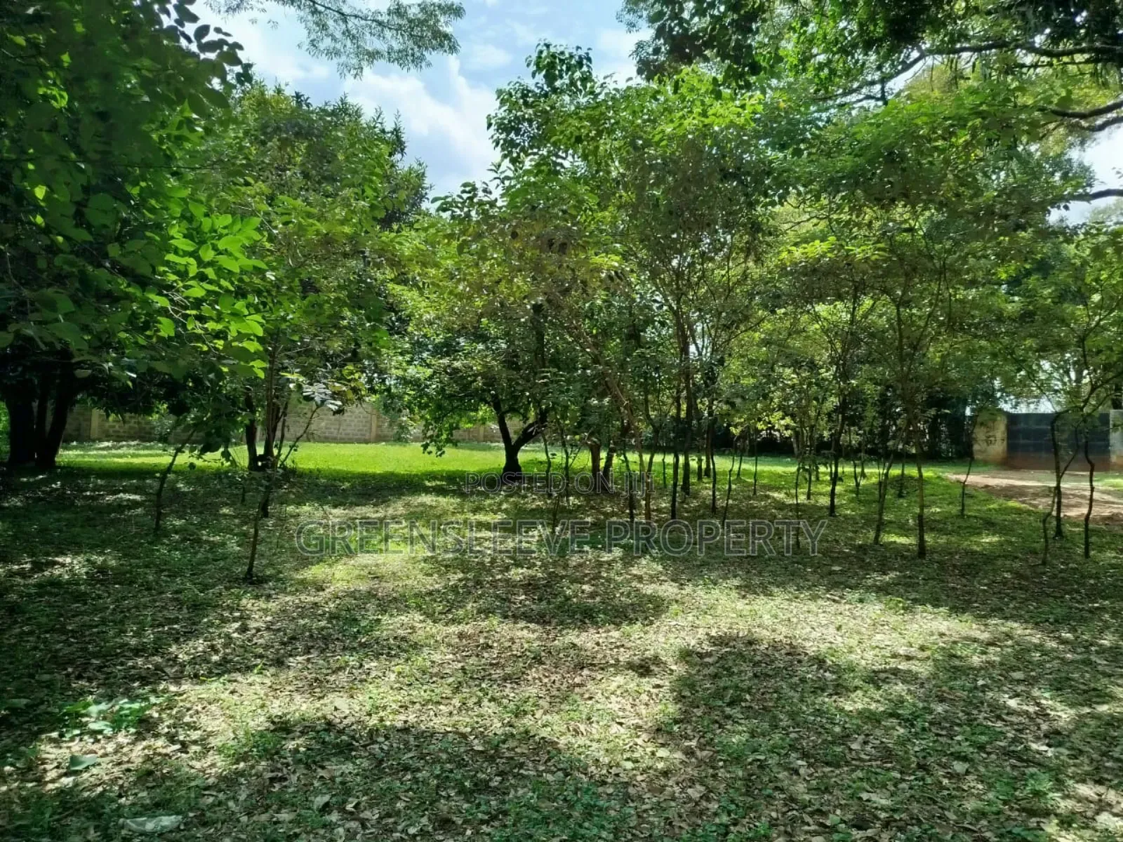 Land for Sale