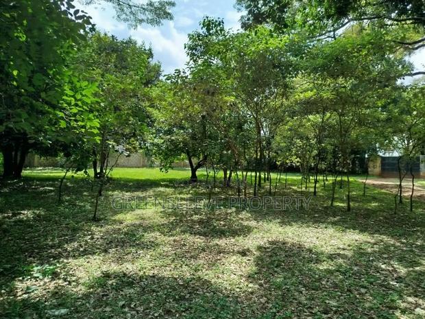 Land for Sale - thumbnail 5