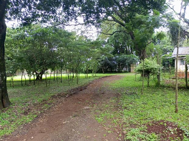 Land for Sale - thumbnail 8