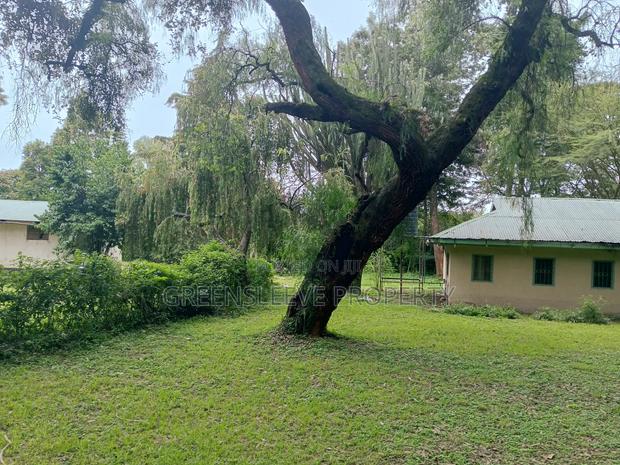 Land for Sale - thumbnail 9