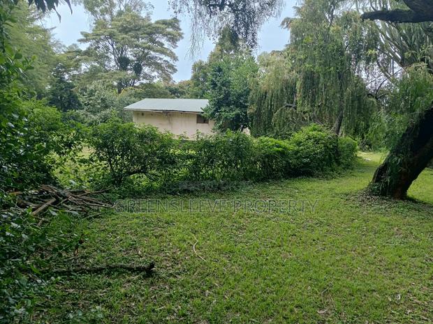 Land for Sale - thumbnail 10