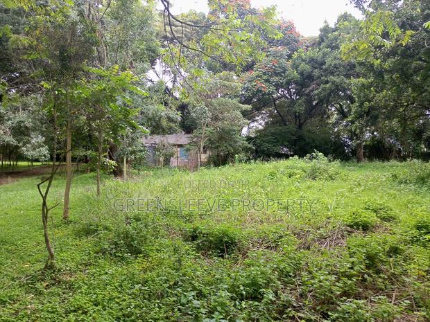 Land for Sale - thumbnail 12