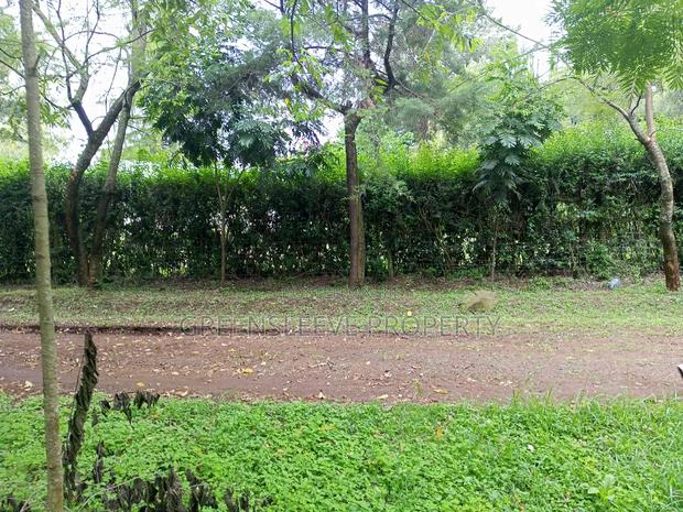 Land for Sale - thumbnail 13