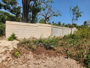 Diani Plots - thumbnail 2