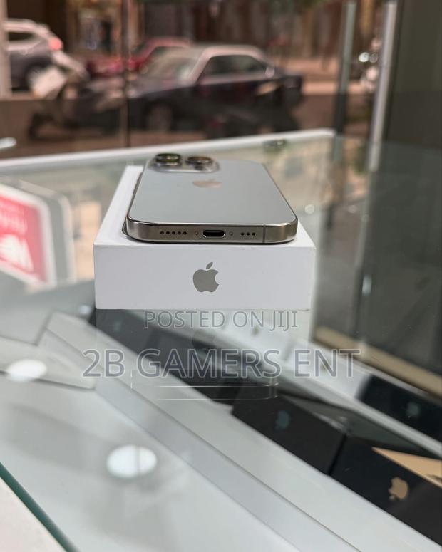 Apple iPhone 16 Pro Max 256 GB Silver - thumbnail 4